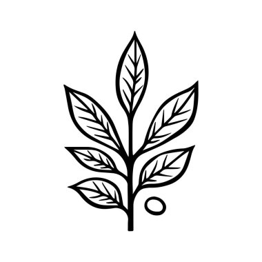 Altında Zarif Metin Afişi olan Kahve Bitkisi Tepesi Logosu