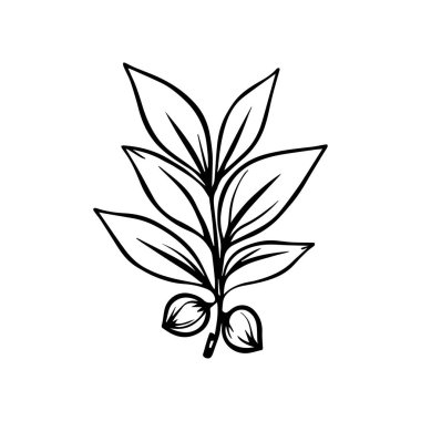 Dekoratif Çerçeve ve Minimal Düzeni ile Kahve Fabrikası Logosu