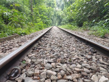 Ormanda demiryolu rayları