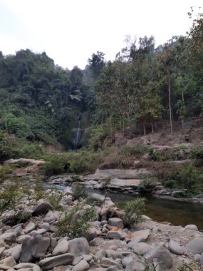 Ormanda güzel bir şelale