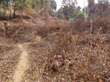 tepeden yüksek dağ manzarası