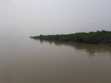 Dünyadaki en büyük mangrov ormanı. 