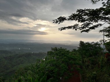 Dağları ve ağaçları olan güzel bir manzara.