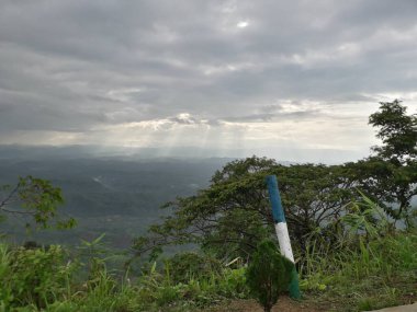 Güzel manzara ağaçlar ve dağ