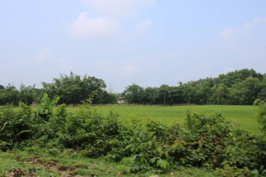 Kırsal alanda yeşil alan