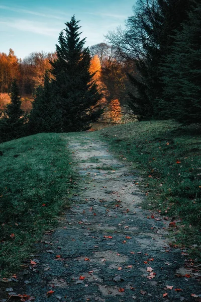 Botanik bahçesinde sonbahar sabahı - Bydgoszcz, Mylcinek, Polonya