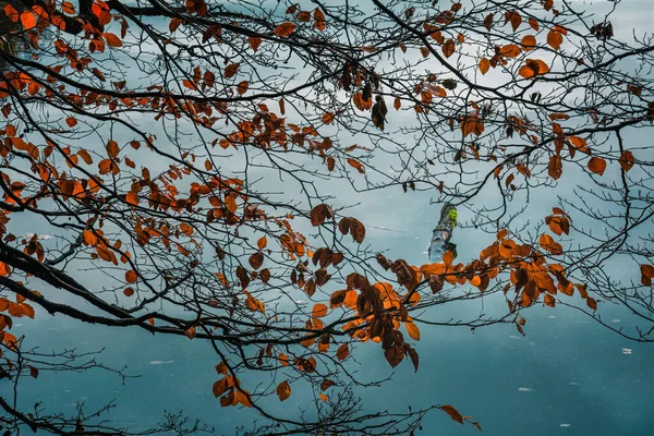 Sonbaharda Jasien Gölü - Polonya, Kashubia