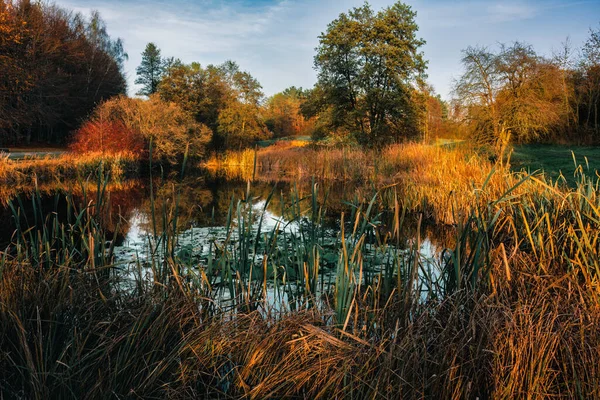 Botanik bahçesinde sonbahar - Bydgoszcz, Mylcinek, Polonya