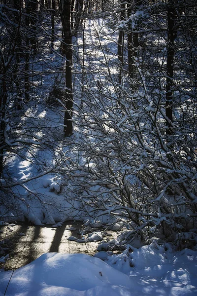 Borek, Kaszuby, Polonya - Kış Bölüm 1