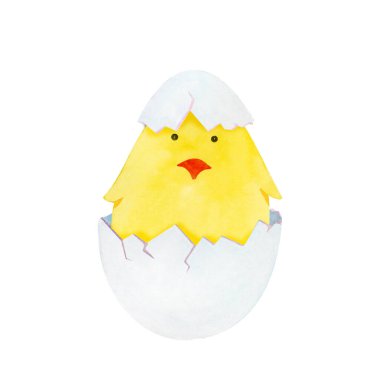 Watercolor chick, easter chick, cute pet, pet. Isolated on white
