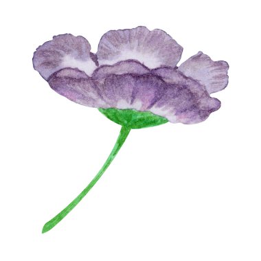 Çiçekler suluboya illüstrasyon. El yapımı. Kapak, kumaş, tekstil, ambalaj kağıdı için tasarım. .