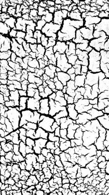 Çatlamış ve desenli siyah beyaz bir yüzeye yakın çekim