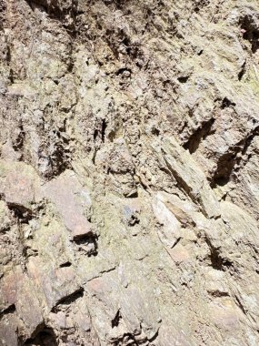 Yıpranmış bir kaya oluşumuna yakın çekim