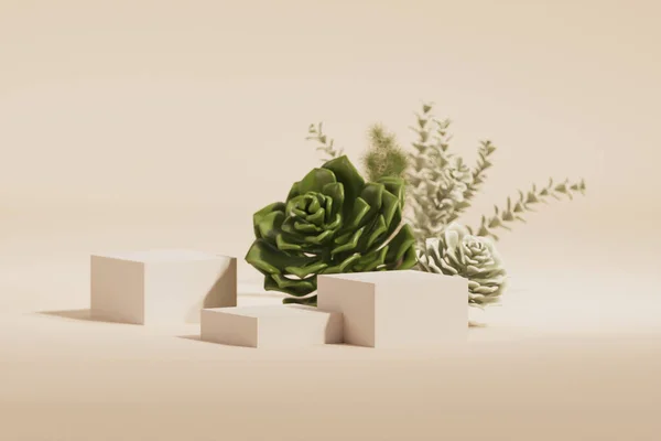 Stone podium, cosmetic display stand with nature leaves on white background. Succulents and cactus with stone podiums. Mock up for the exhibitions, presentation, therapy and health. 3d render.