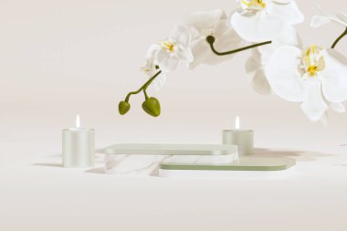 3 boyutlu podyum, pastel yeşil ve beyaz arka plan, orkide çiçekleri ve dekoratif vazolar. Güzellik, ürün ve moda için minimum kaide. Kadınsı kopyalama alanı şablonu 3d oluşturma