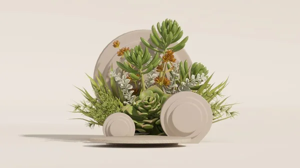 Stone podium, cosmetic display stand with nature leaves on white background. Succulents and cactus with stone podiums. Mock up for the exhibitions, presentation, therapy and health. 3d render.