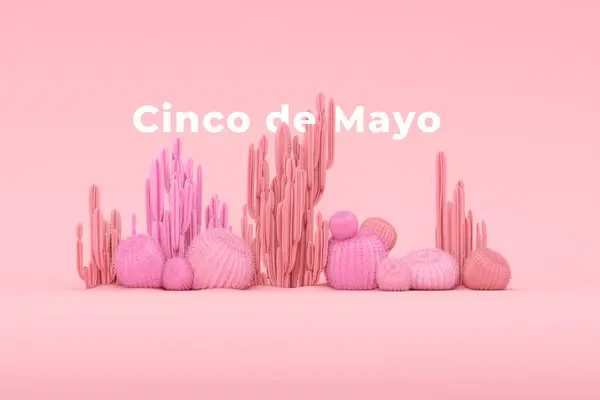 Decorative Composition Groups Different Species Multicolored Cacti Pink Background Cinco Stock Image