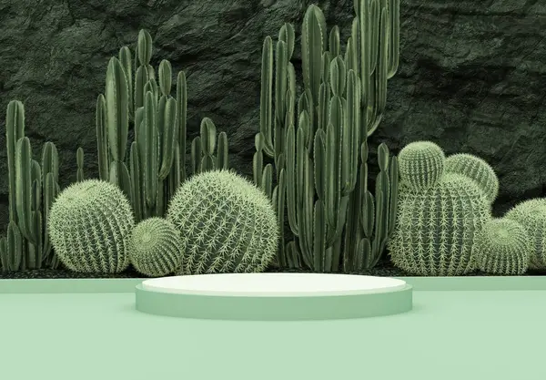 Decorative Composition Groups Different Species Multicolored Cacti Green Background Cinco Стоковое Изображение