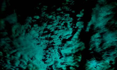 Siyah zemine karşı şeffaf dumanlı kokular ve aromatik tütsü girdapları. Siyah bir zeminde soyut duman sisi. İzole edilmiş siste sisli doku. Gerçek yeşil duman dışarıya doğru patlıyor. Çimento zemininde patlıyor..