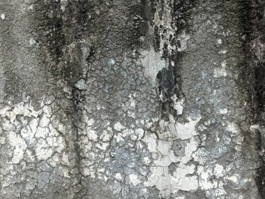 Kirli çatlamış beyaz duvar boyası dökülüyor. Kötü hasar görmüş eski duvar boyası soyuluyor. Boya parçaları kayıp. Çimento soyulmuş grunge duvar dokusundan sıyrılmış..