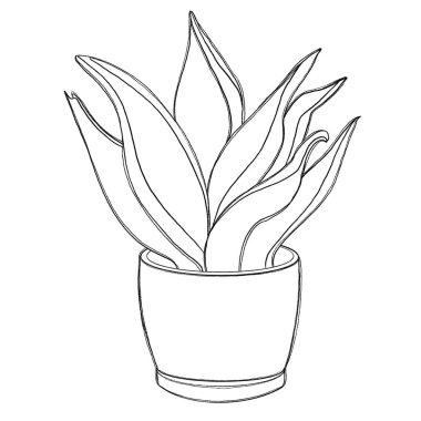 Bir saksının minimalist bir çizimi. Çıkartmalar, kağıtlar, not defterleri, kartpostallar için satırları olan saksıların çizimleri..