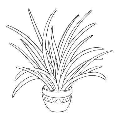 Bir saksının minimalist bir çizimi. Çıkartmalar, kağıtlar, not defterleri, kartpostallar için satırları olan saksıların çizimleri..