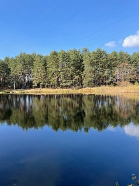 Yeşil bir orman ve mavi bir göl ufkunun fotoğrafı. Peyzaj resimleri..