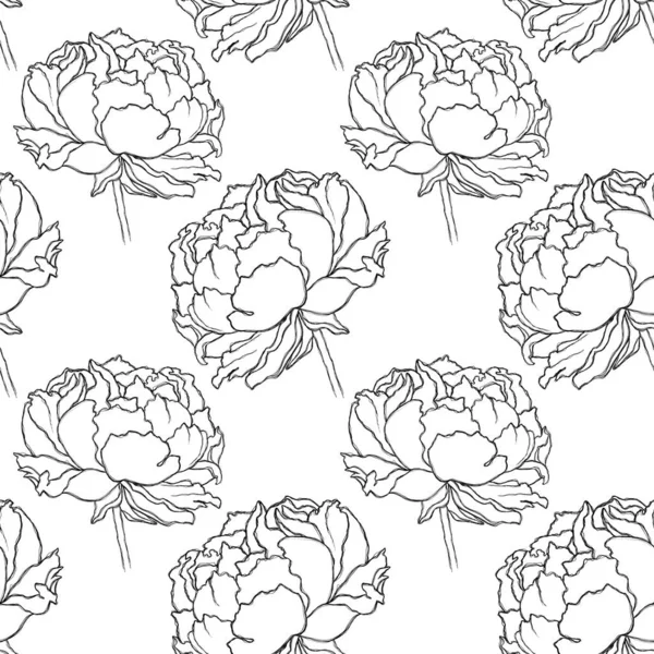 Мінімалістичний Безшовний Візерунок Розфарбованими Півоніями Квітковий Візерунок Текстилю Тканин Одягу — стокове фото