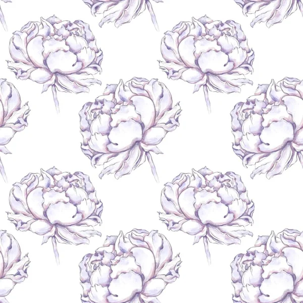 Seamless Pattern Peonies Pattern Textiles Wallpapers Cards Backgrounds Clothing Textiles — Stock Photo, Image