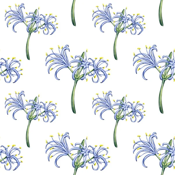 Nahtloses Muster Mit Botanischem Ornament Muster Für Tapeten Textilien Stoffe — Stockfoto