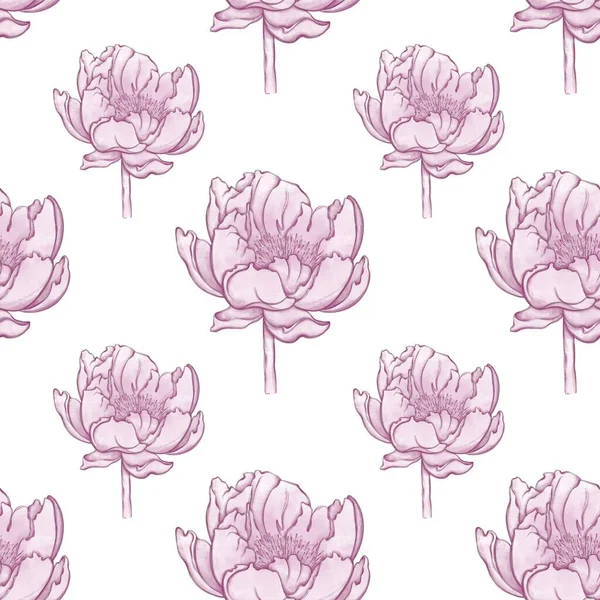 Seamless Pattern Peonies Pattern Textiles Clothing Wallpaper Printing Stationery Accessories — Stock Photo, Image