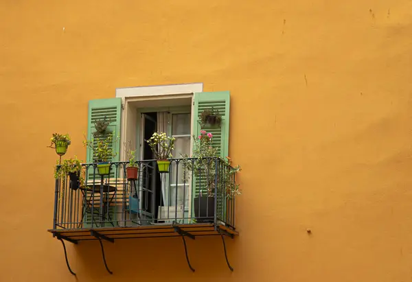 Nice 'in eski binasındaki renkli çiçek ve pencerelerin dikey görüntüsü.