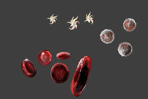 Mikroszkópon Átáramló Vérsejtek Illusztrációja Jogdíjmentes Stock Képek