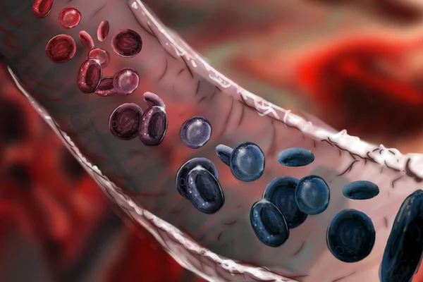 Vérsejtek Oxidációjának Szemléltetése Mikroszkóppal Stock Kép