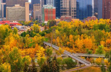Calgary 'deki Sonbahar Ormanı