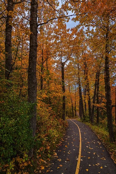 Queda Árvores Coloridas Forro Park Road — Fotografia de Stock