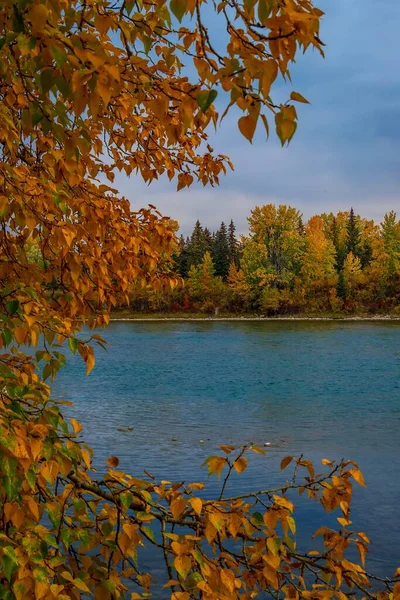 Herbstblätter Umgeben Den Bow River — Stockfoto
