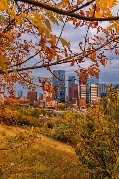 Calgary şehrinde sonbahar