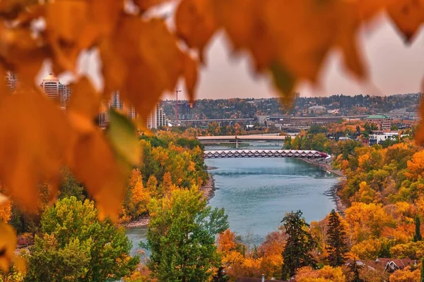 stock image Fall Leaves Framing The Calgary River Valley