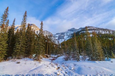 Canmore Dağlarında Kış Günü