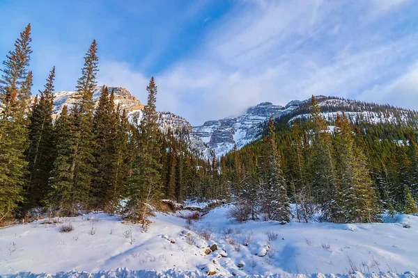 Zimowy Dzień Górach Canmore — Zdjęcie stockowe