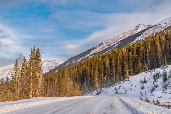 Χιονισμένο Δρόμο Μέσα Από Βουνά Canmore — Φωτογραφία Αρχείου