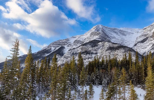 Blue Sky Snowy Canmore Mountains — Stock fotografie