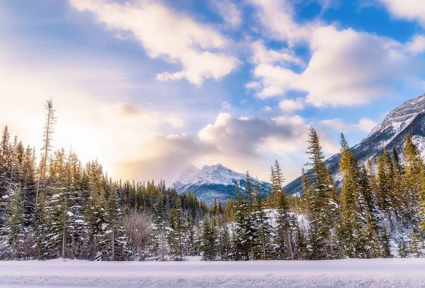 Sol Que Brilla Sobre Las Montañas Invernales Canmore —  Fotos de Stock