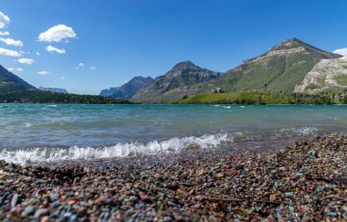Waterton Gölleri Yazın Driftwood Sahilinden