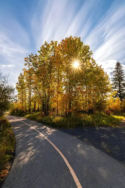 Sonnenschein Glüht Einem Herbst Park Stockfoto