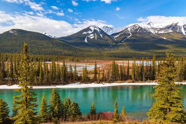 Panoramic View Of A Banff Mountain Valley In The Spring