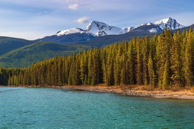 Banff Dağları ve Mavi Gök Altında Nehir