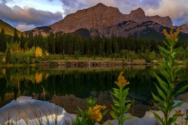 Flowers Framing A Canmore Mountain Lake At Sunrise clipart