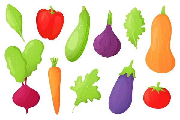 Buntes Gemüse Paprika Tomaten Karotten Zwiebeln Kürbis Rote Bete Auberginen — Stockvektor